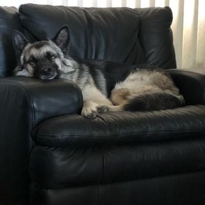 Meet your Posher, Matthew